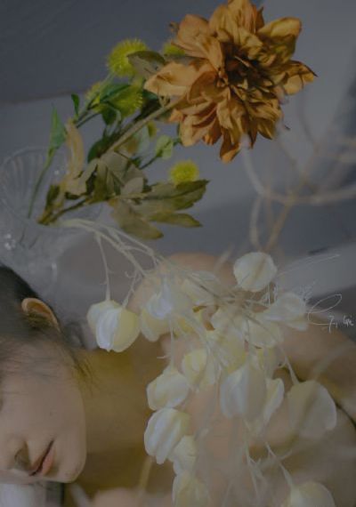 午夜视频动漫精品_无删减完整版在线观看